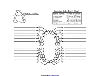 Baby Teeth Charts