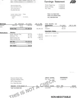 ADP Pay Stub Generator Templates