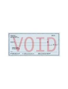 Voided Checks, Void Check