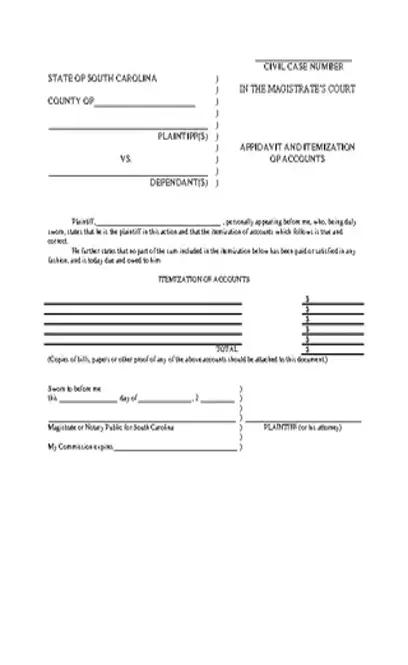 South Carolina Affidavit And Itemization Of Accounts