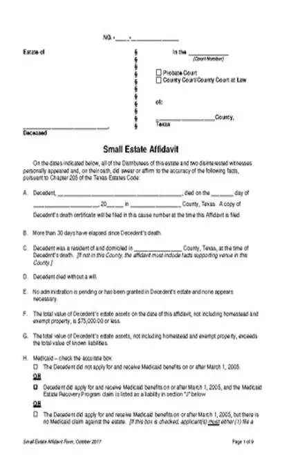 Texas Small Estate Affidavit Form