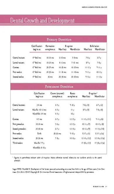 Baby Dental Growth Chart Template