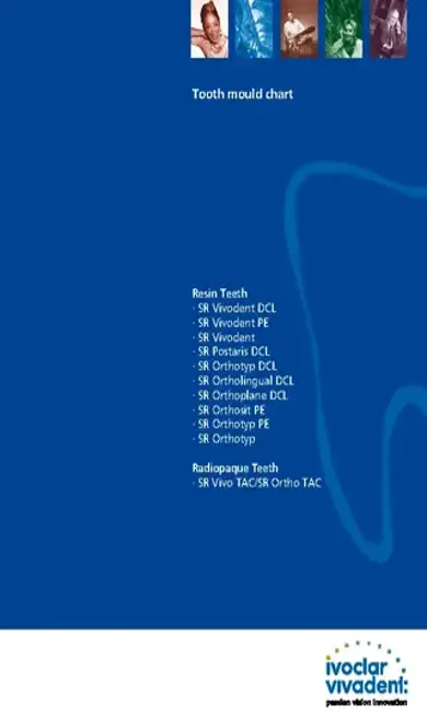 Baby Teeth Mould Growth Chart