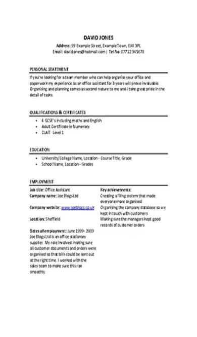 Basic Cv Template