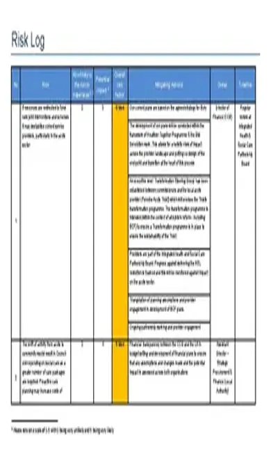 Bcf Risk Log Template