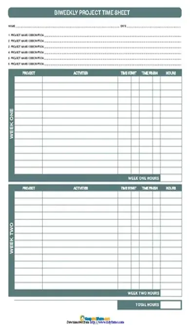 Bi Weekly Project Timesheet