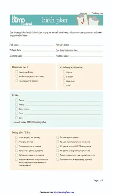 Birth Plan Template