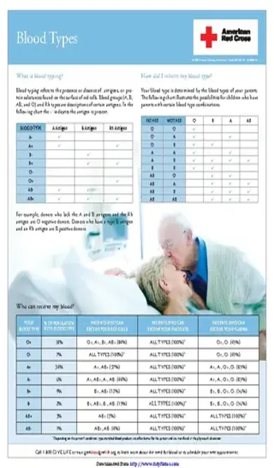 Blood Type Chart 2