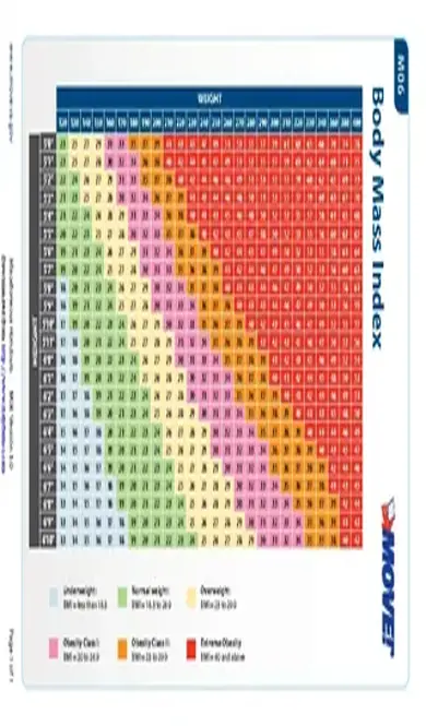 Bmi Chart 2