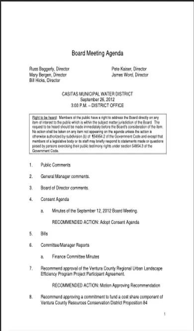 Board Formal Meeting Sample Fillable PDF Form