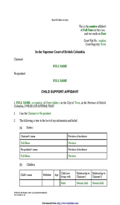 British Columbia Child Support Affidavit Sole Claim Form