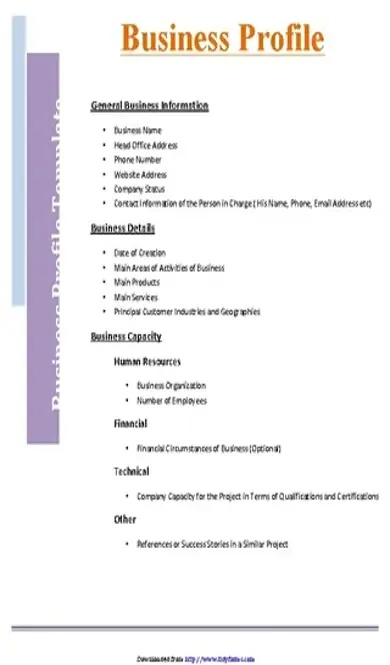 Business Profile Template 2