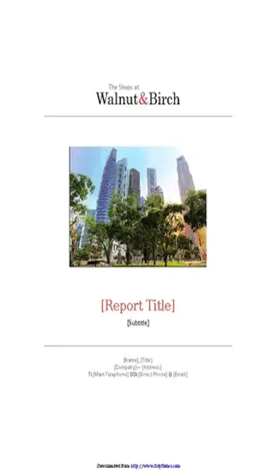 Business Report Template 1