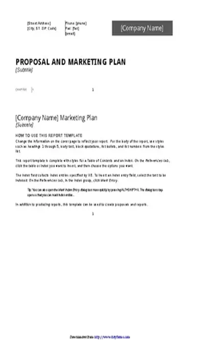 Business Report Template 3