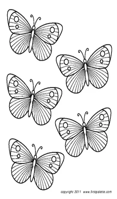 Butterfly Template 3