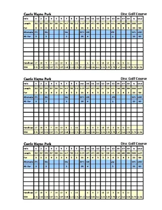 Castlehaynescorecard