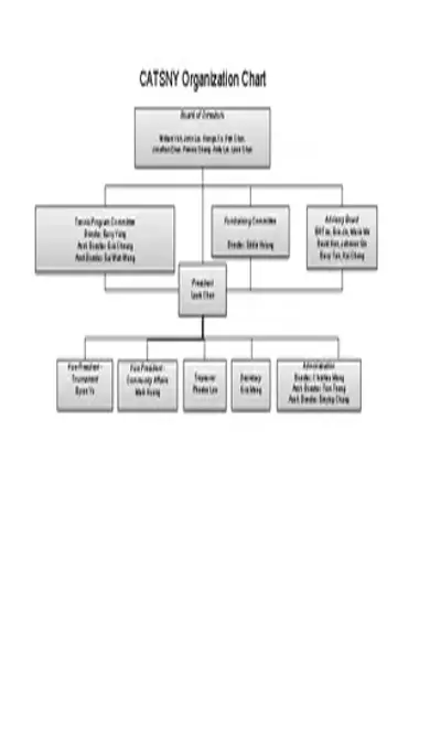 Catsny Organization Chart Template