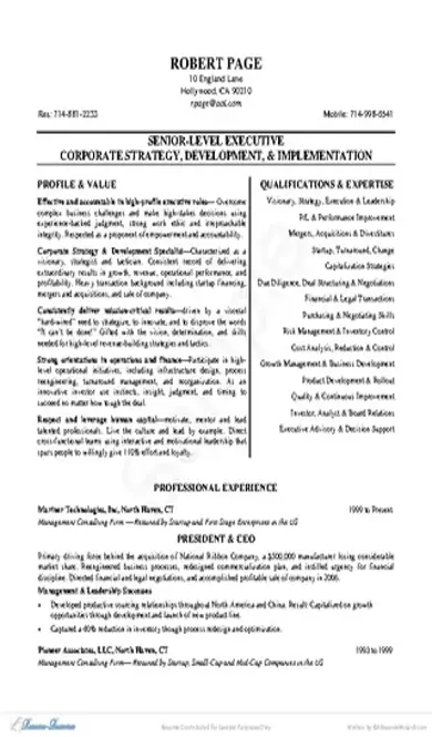 Ceo Resume Examples Sample Bio