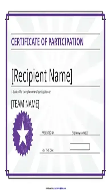 Certificate Of Participation 2