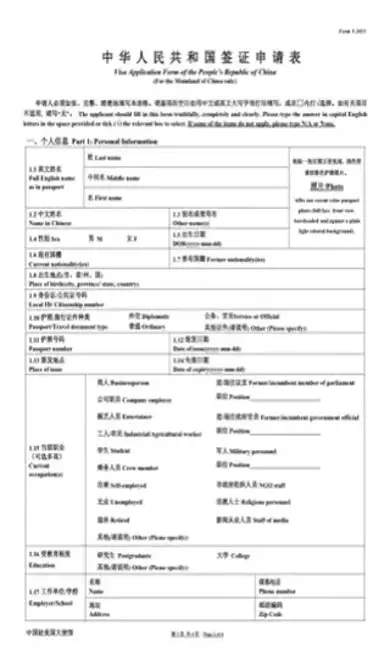 China Visa v 2013 PDF