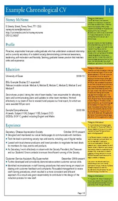 Chronological Cv Example