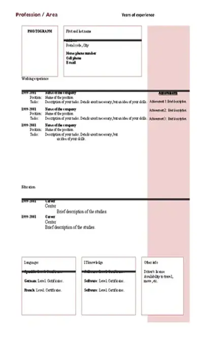 Chronological Cv Template