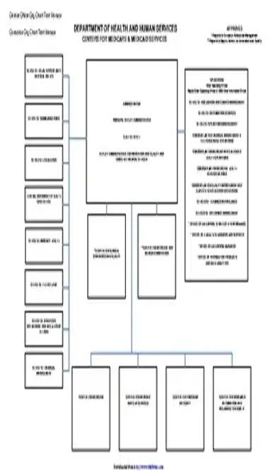 Cms Organizational Chart