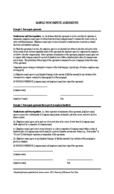 Company Non Compete Agreement Form