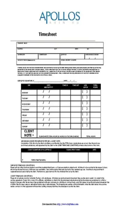 Consultant Timesheet