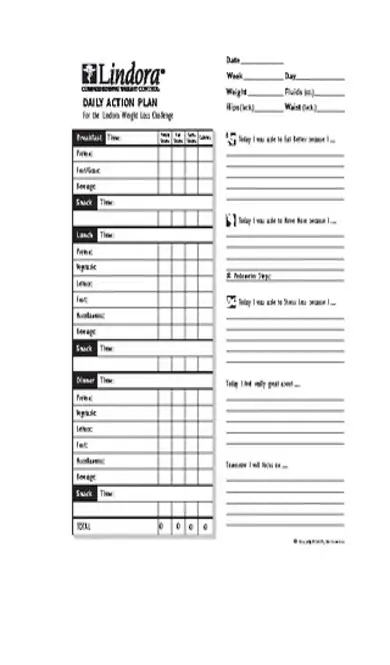 Daily Action Plan Template