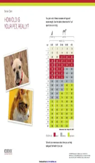 Dog Years Chart 1