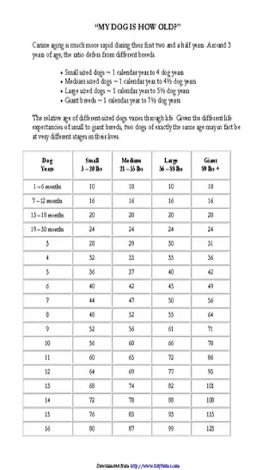 Dog Years Chart 2