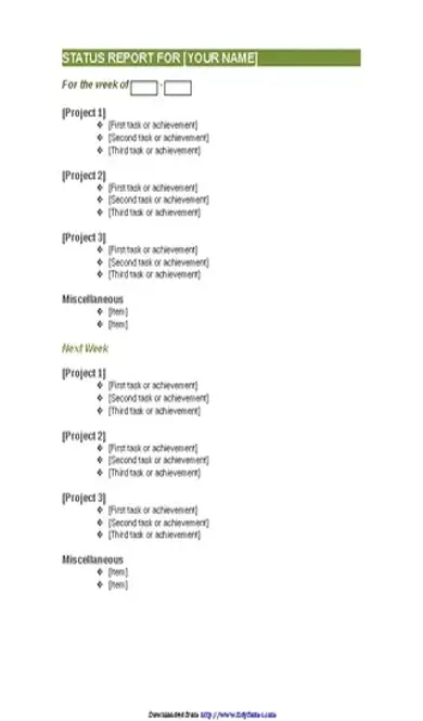 Employee Weekly Status Report Template