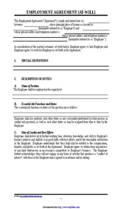 Employment Agreement Sample 2