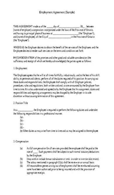 Employment Contract Example