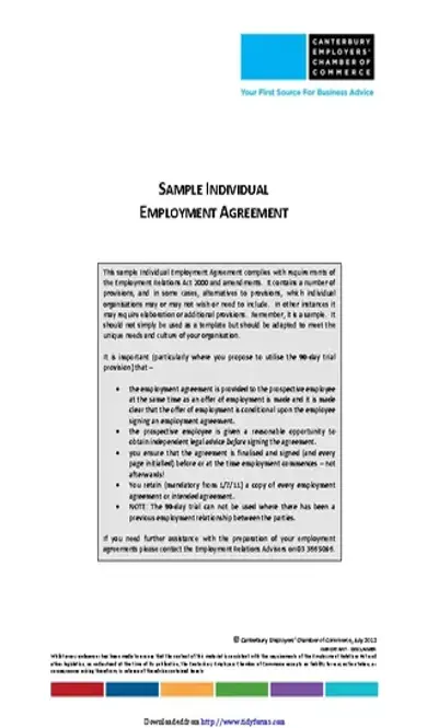 Employment Contract Template 3