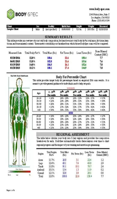 Example Body Fat Percentage Chart