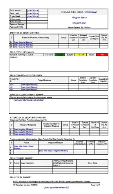 Executive Project Update Templates