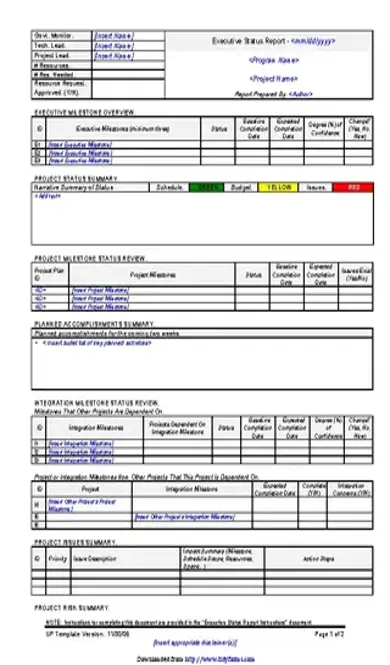 Executive Status Report Template