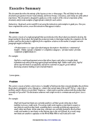 Executive Summary Template 1