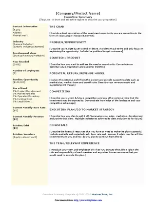 Executive Summary Template 3