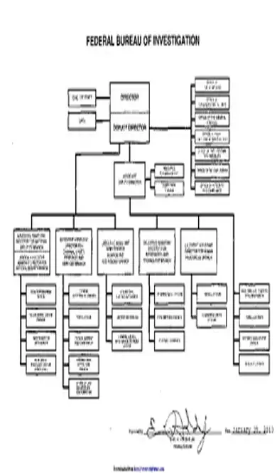 Fbi Organizational Chart 1