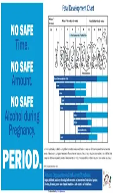 Fetal Development Chart