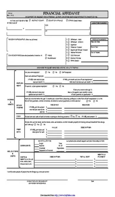 Financial Affidavit