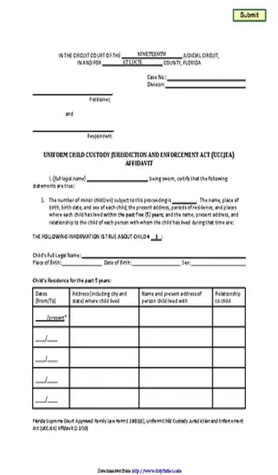 Florida Child Custody Form