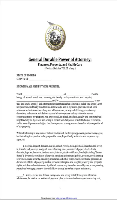 Florida Durable Power Of Attorney Form For Finances Property And Health Care