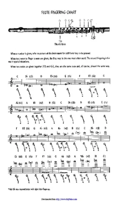 Flute Fingering Chart