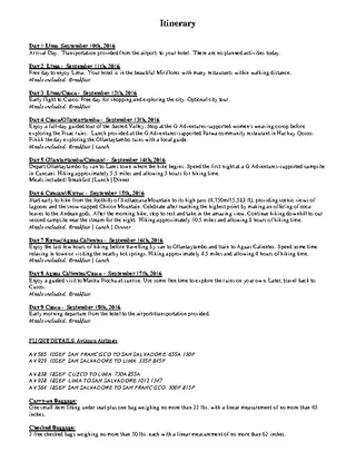 Free Flight Itinerary Template