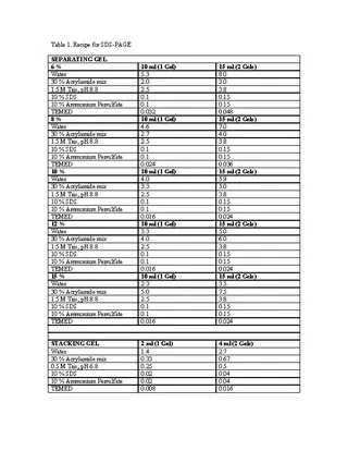 Full Page Recipe Template For Word