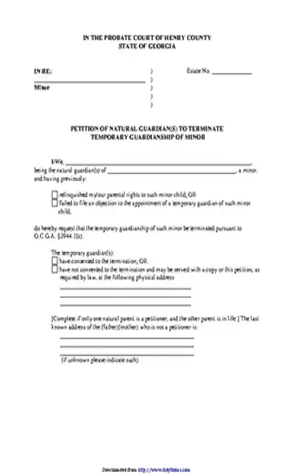 Georgia Guardianship Form 2